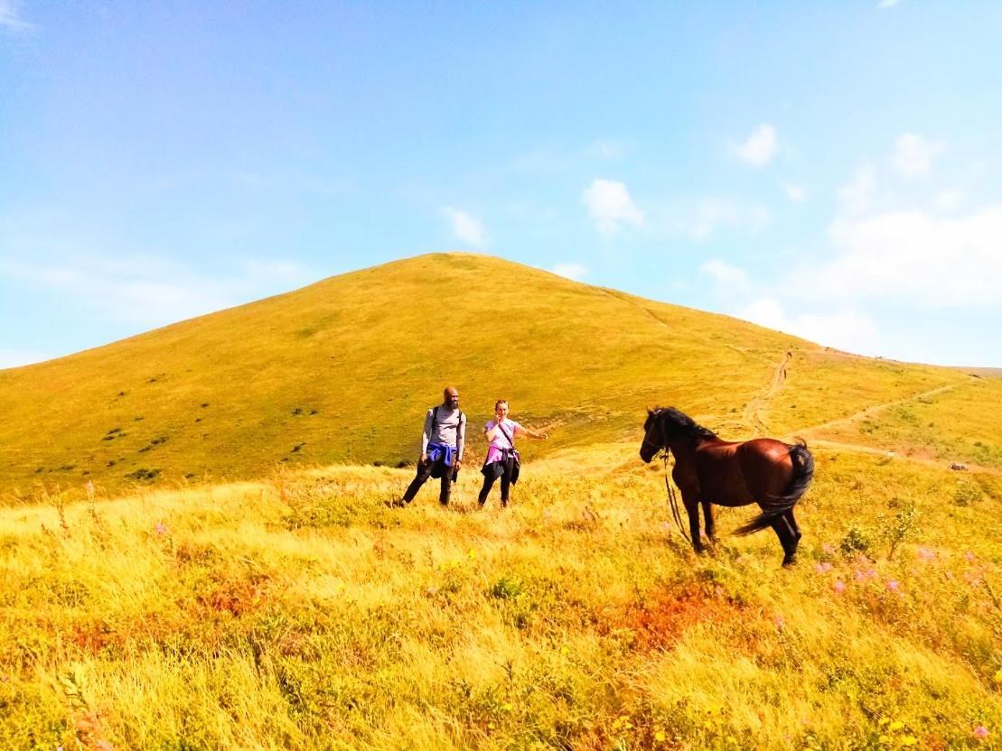 Family Green Sasovka  ภายนอก รูปภาพ